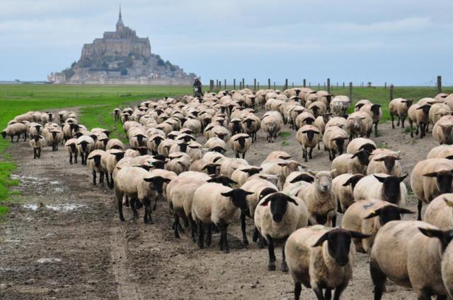 B&B La Rive - Le Mont Saint Michel Ardevon Exterior photo